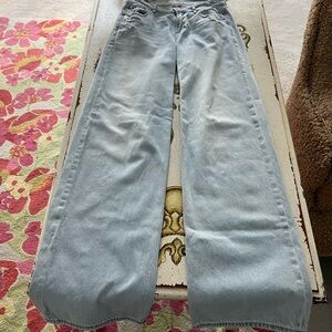 American Eagle 00 Long Low Rise Skater Light Blue Women's Jeans